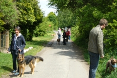 1. ARTGERECHT Wald- und Wiesenlauf 2010