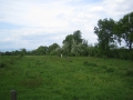 Mai 16_2010 012