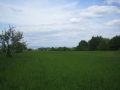 Mai 16_2010 013