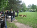 Mai 16_2010 026