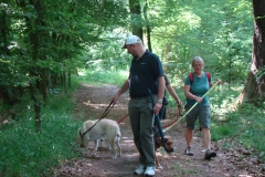 2. ARTGERECHT Wald- und Wiesenlauf 2011