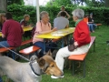 WuW_2012_044