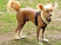 WuW_2012_055