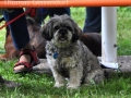 WuW_2012_056