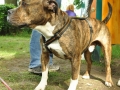 WuW_2012_058