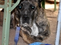 WuW_2012_064