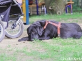 WuW_2012_067