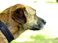 WuW_2012_080