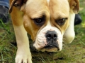 WuW_2012_085