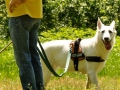 WuW_2012_089