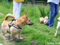 WuW_2012_101