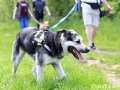 WuW_2012_104