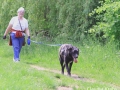 WuW_2012_105