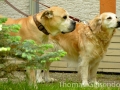 WuW_2012_110