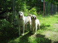 WuW_2012_114