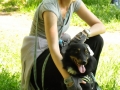WuW_2012_118