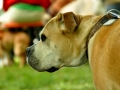 WuW_2012_121