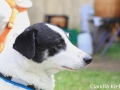 WuW_2012_123