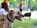 WuW_2012_124