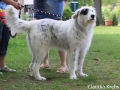 WuW_2012_125
