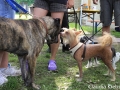 WuW_2012_126