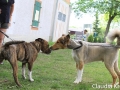 WuW_2012_127