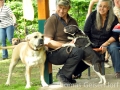 WuW_2012_132