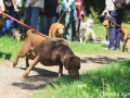 WuW_2012_151