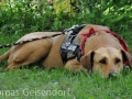 WuW_2012_152