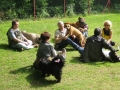 WuW_2012_155