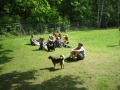 WuW_2012_161