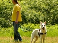 WuW_2012_166