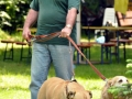 WuW_2012_175