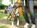 WuW_2012_178