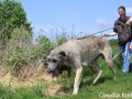 WuW_2012_182