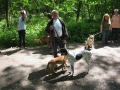WuW_2012_192