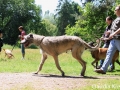 WuW_2012_203