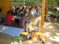 WuW_2012_211