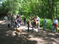WuW_2012_220