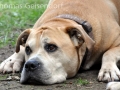 WuW_2012_221