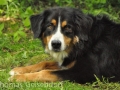 WuW_2012_227