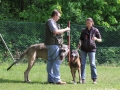 WuW_2012_232