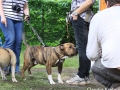 WuW_2012_233
