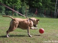 WuW_2012_234
