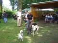 WuW_2012_246