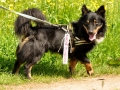 WuW_2012_247