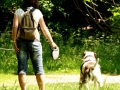 WuW_2012_255