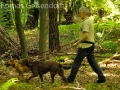 WuW_2012_260