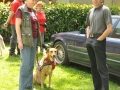 WuW_2012_264