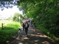 WuW_2012_273